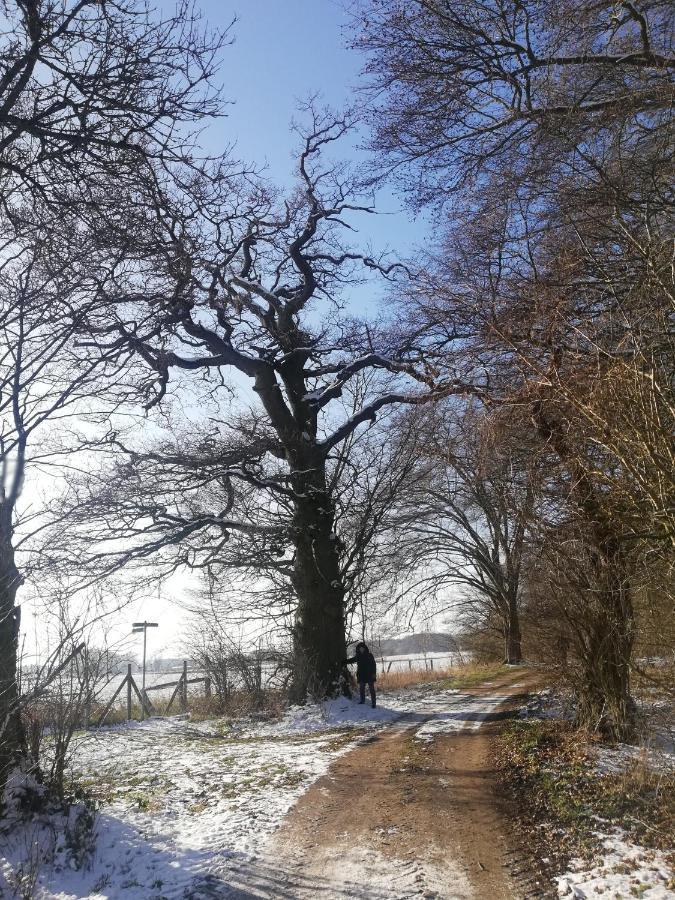 Gaestehaus Kibbel Bosau Luaran gambar
